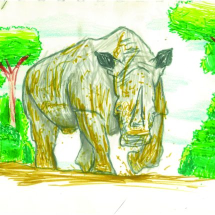 18+ Rhino How To Draw